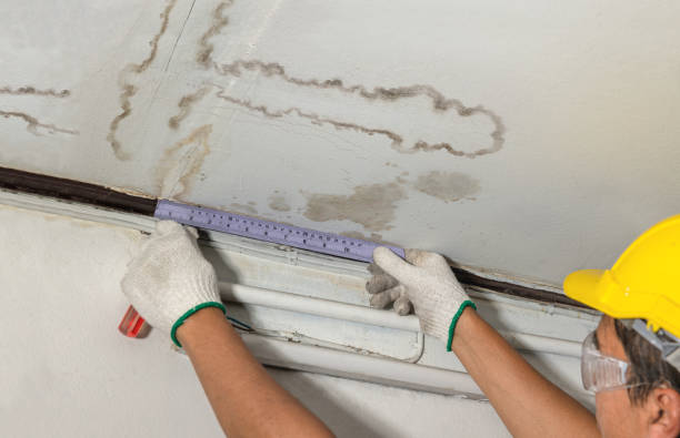 Reliable Water Damage Repair contractor in Butler, NJ by Hirex Water Damage